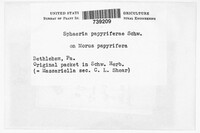 Image Associated With the Occurence